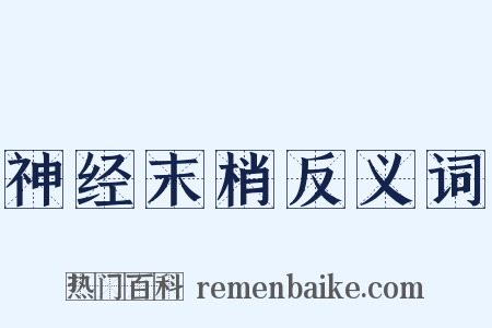 神经末梢反义词是什么意思的图片